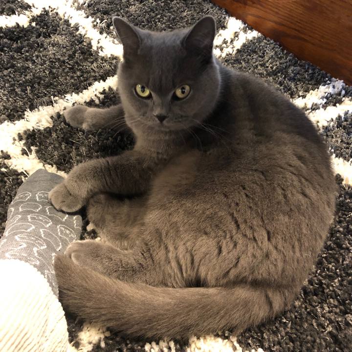 C131e656 0967 42a2 942a ca0b1f1fcb0f 1573892882335