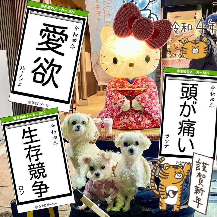 C131f084 7307 4de1 81cf 0e01c479609a 1641199389620