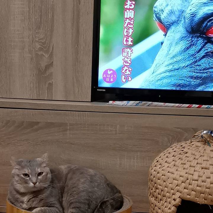 C13227a1 4d51 4ee5 bfb1 b87408688773 1606004654193