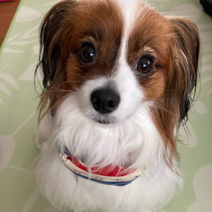 C1323005 e192 49f3 9cd1 1dee89a0874e 1657415034618