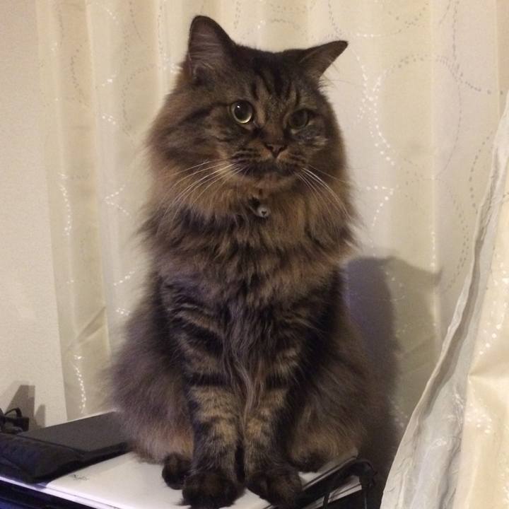 C13269ed 6f9d 4159 bdb1 c37b571a339d 1531223845008