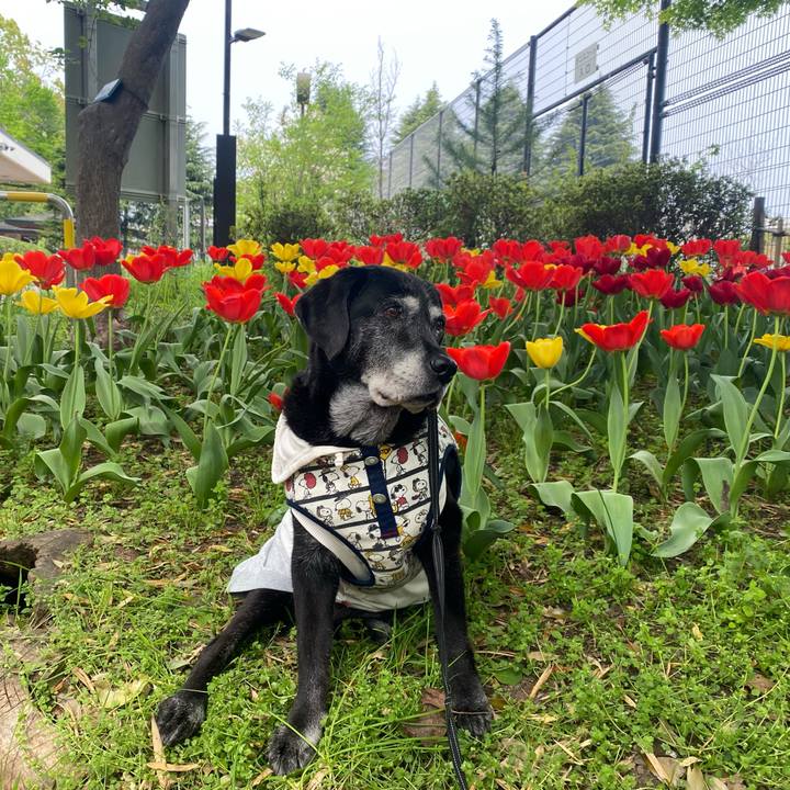 C132a4ae 1820 44f3 b8a4 3343f58f59d2 1744955880309