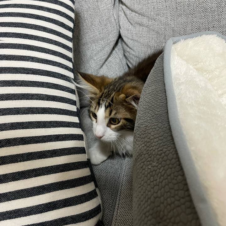 C132ad75 7a2c 4b1a 8ce4 46c36d68f313 1633811479914