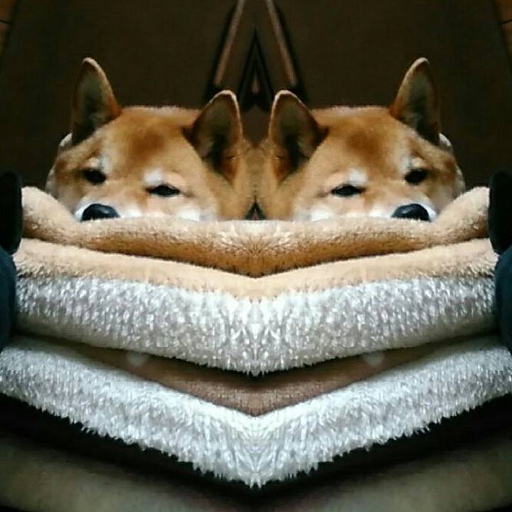 C132d8a0 a106 4304 98a3 54c10fea5e05 1554880610588