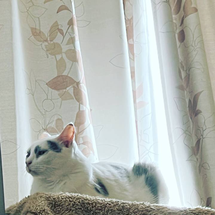 C132e405 abc7 468b 82ad 5ce1754fdc75 1646824647786