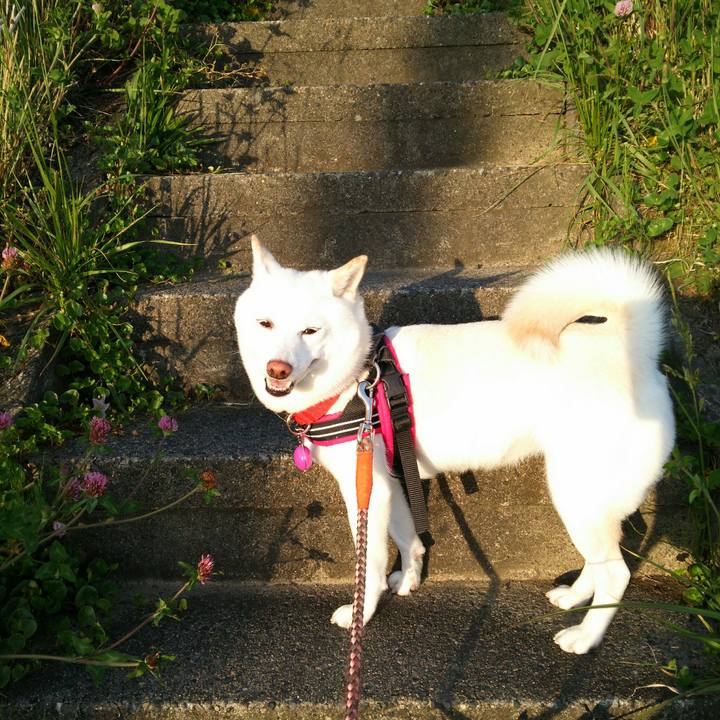 C132e62b ec4c 492d a37c d7b3d0004d0f 1558605583172