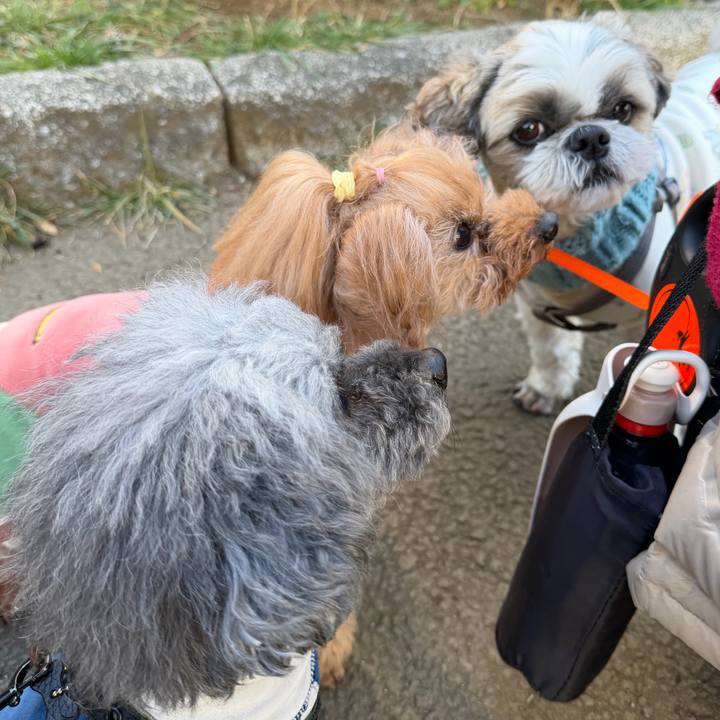 C132eebe 5cf9 4af5 a8d7 7fcd36139542 1770247315320