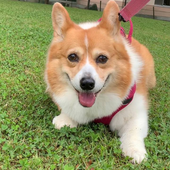 C13330ff 430d 400f 9c24 c14720cc844b 1686781490142