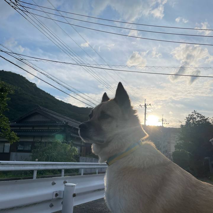 C1334a0f c90a 4a79 8488 813fc132016e 1655990023701