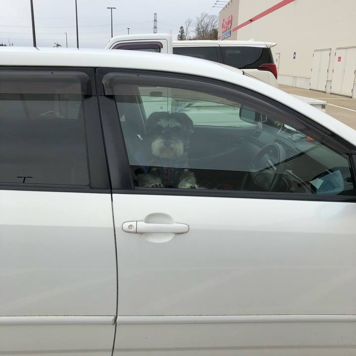 C1335a6e 8326 4698 bea4 735cf20a6985 1549868419378