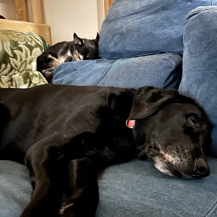 C1335e4b 6ddf 4036 86fb d641f168dd0d 1735854713670