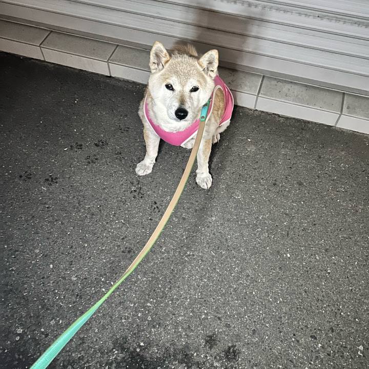 C133a4cb 4bfa 49fc 8215 022e9cae4dea 1748607065772