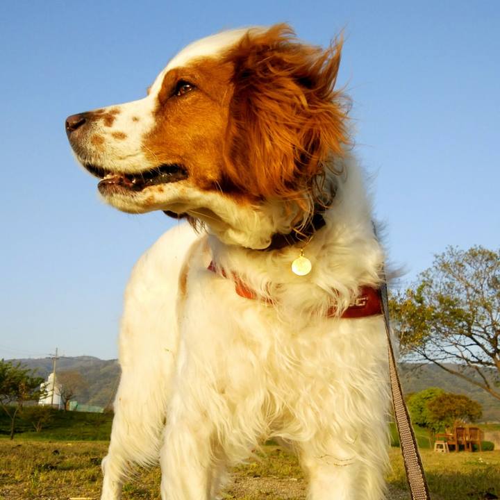 C134182f 62dd 446d a3de c4765b45d179 1555933675746