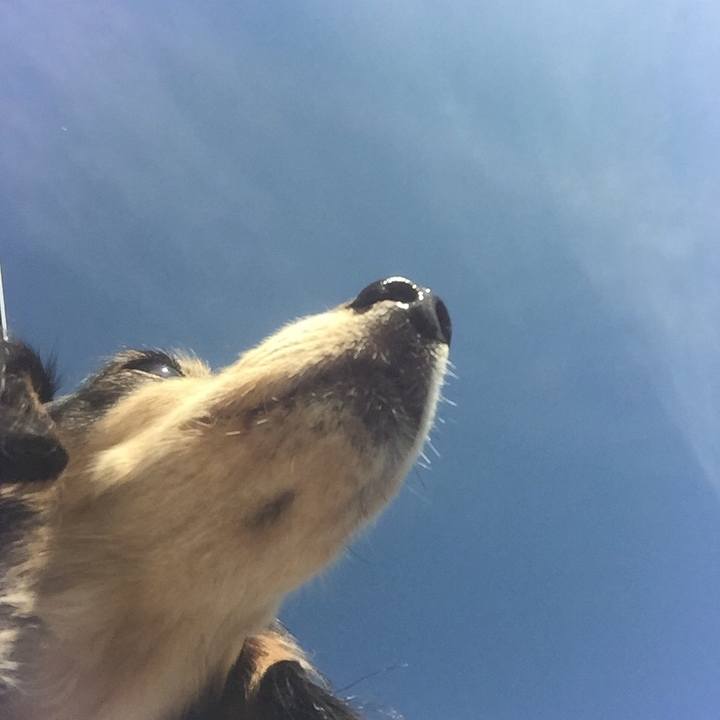 C1341fb0 4ae3 4b7f b0d2 3ff589d0ece0 1540340569362