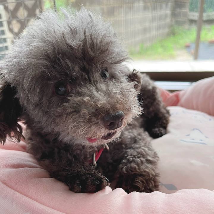 C134397c bf8d 4302 8f18 3032724fe123 1687732140618