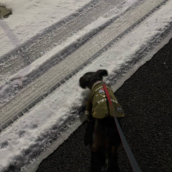 C13440ea f460 46c8 82a8 6eeee1d44ddb 1768257849902