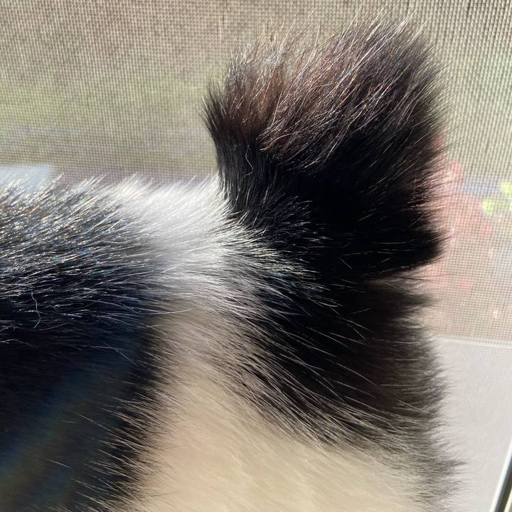 C1345333 e01d 4135 850a 32ba8516d6a6 1588072690395