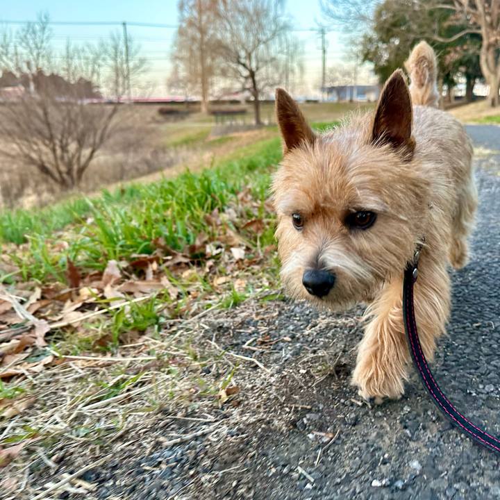 C1345f4f 6328 477d b6ba b764538f884f 1739452441999