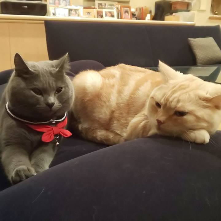 C13462c8 c921 476c bf25 7097272e3486 1542878691897