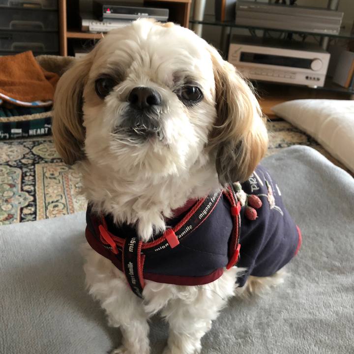 C1349d9c 847b 47fa 9f5f e8693b0d6a33 1607377428886