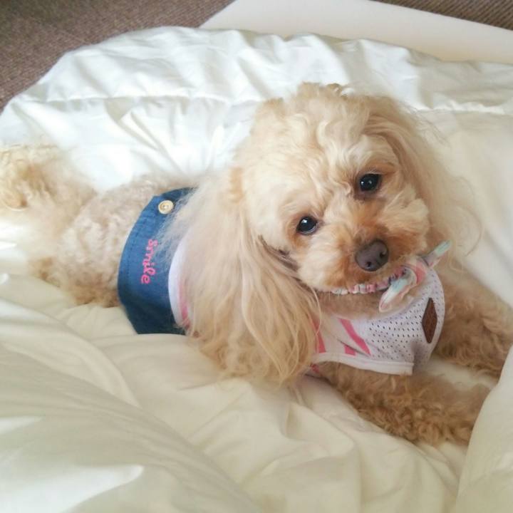 C134ab9f f351 42cf ba69 42abc3c70b11 1523523321516