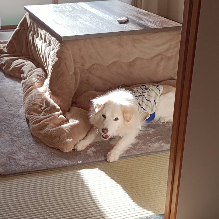 C1355a5a b0b7 4c4e 8707 be19b59dc807 1744669405005