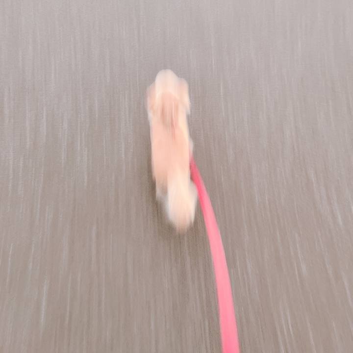 C13595ef 5fdc 45f1 8fae d6a864d5da0f 1659008278936