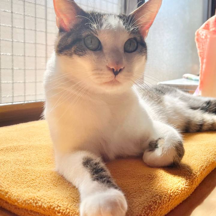 C135d512 5d17 4100 ab2d cbaa8f19b084 1764137206171