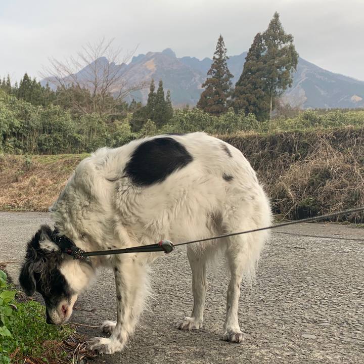 C135e962 2c39 4c9a 8ea0 6726285b6362 1583558044942