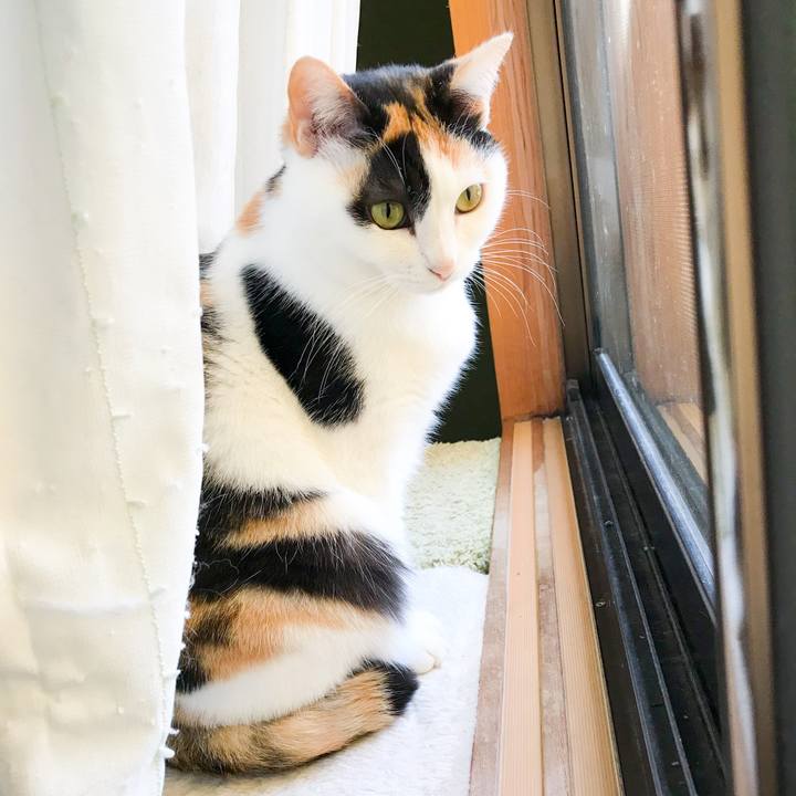 C135f89f f1f7 44f9 95fa 84f493e45147 1520950054400