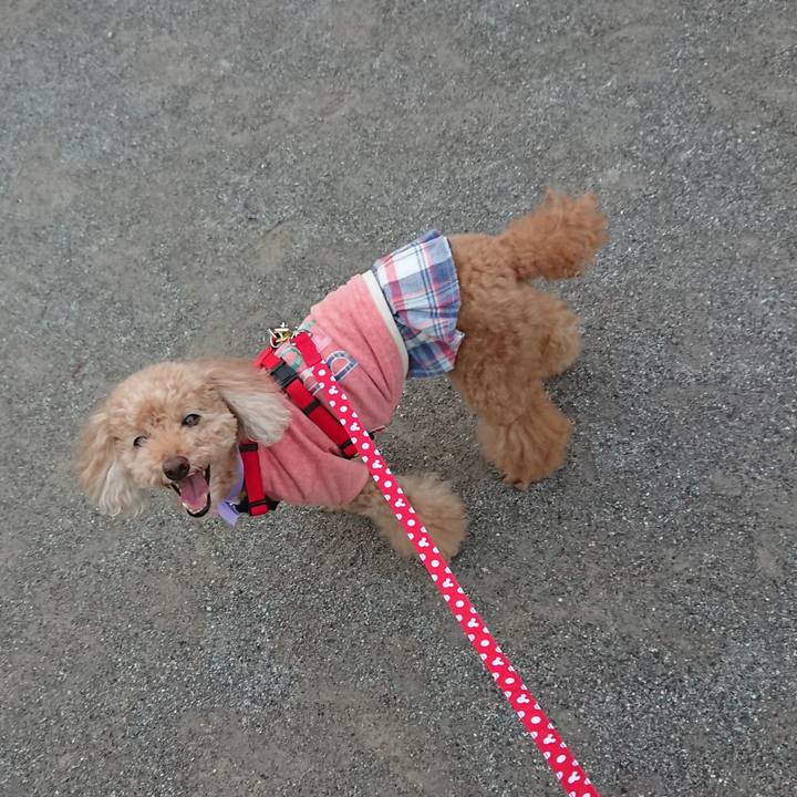 C1364b23 8aff 4eab bdbe d55d4b7514b4 1569239423712