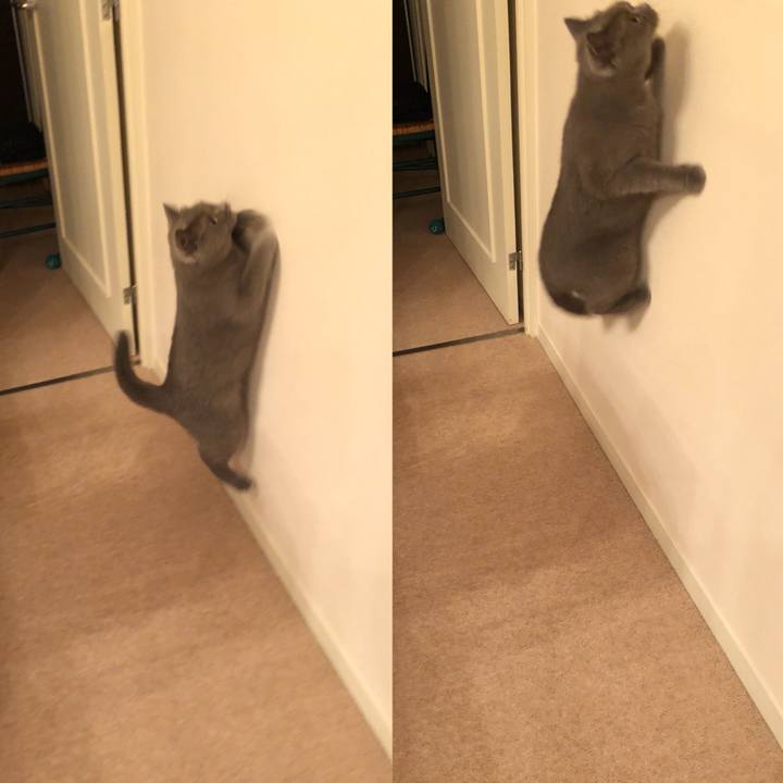 C1367903 b3a6 4257 a30b 63af723705a2 1535037909163