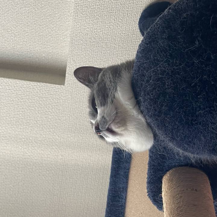 C136a160 f278 4509 87b6 958e22edb949 1742277119229