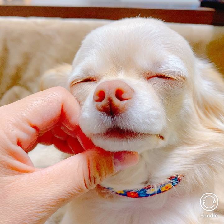 C136b4f0 983d 4101 9912 2cee1560899c 1635557870998