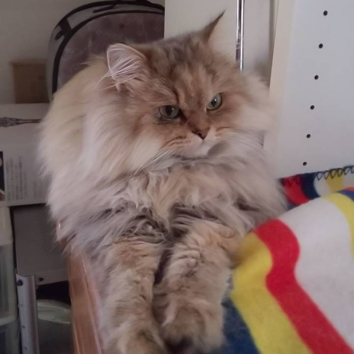 C136bd00 cfb3 484a 8db2 c5720174b777 1606791561232