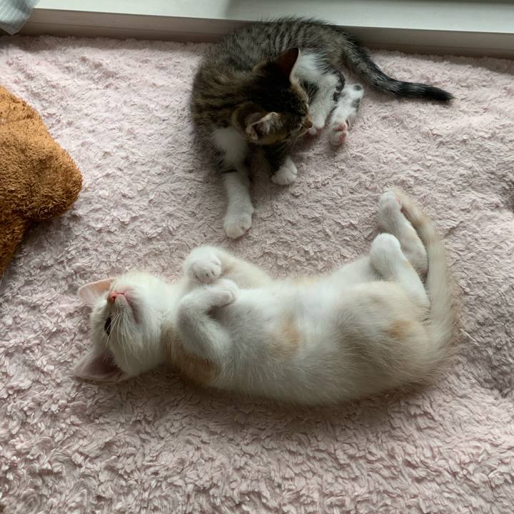 C136c0d9 d1b7 4f67 9e83 8375e3a0976f 1623656951279