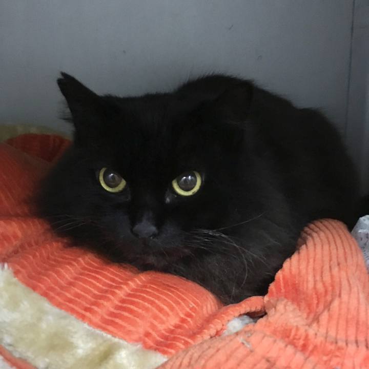 C136f7bb 9434 4975 a332 921db067f2b1 1548977197862