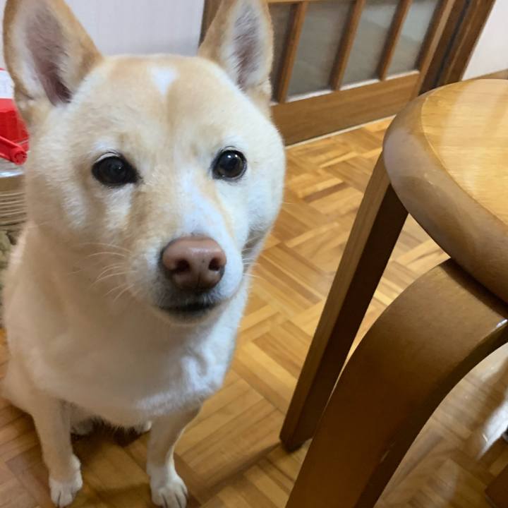 C1373e48 686c 4453 bd34 9e588031207d 1644239392274