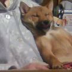 C1373fcf 5887 4dd9 8322 0936c9fc1cf5 1619222408006