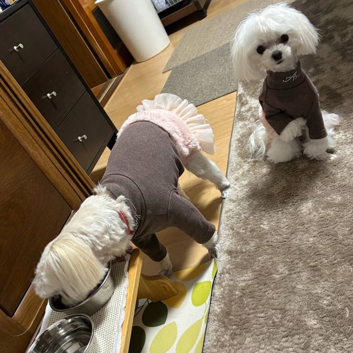 C1375565 b13a 4c94 b25e f7b297470102 1734087885163