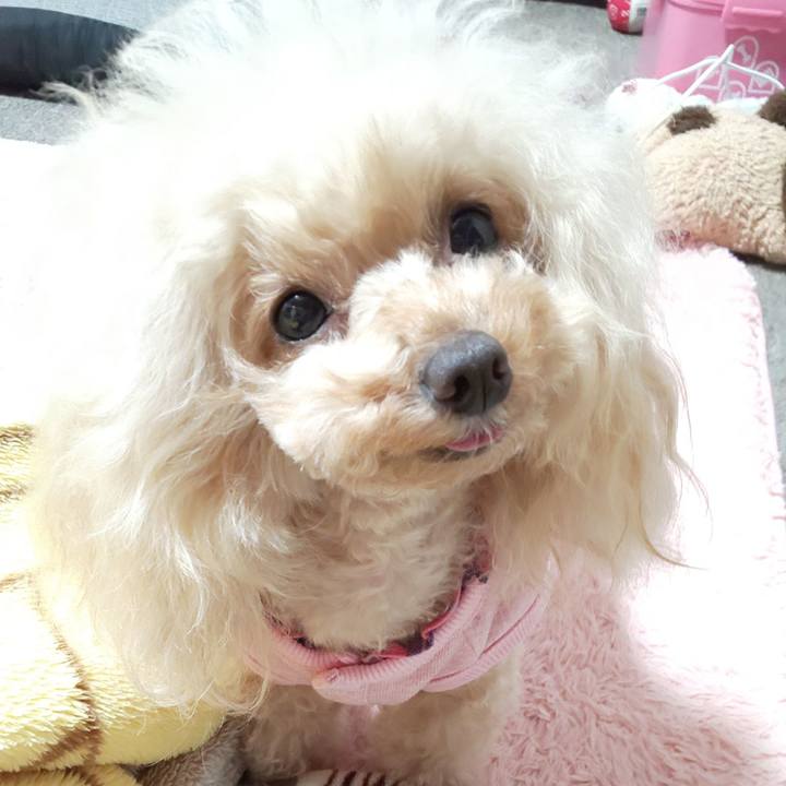 C1376d12 3be8 4d28 b425 ced2085c688f 1575464550072