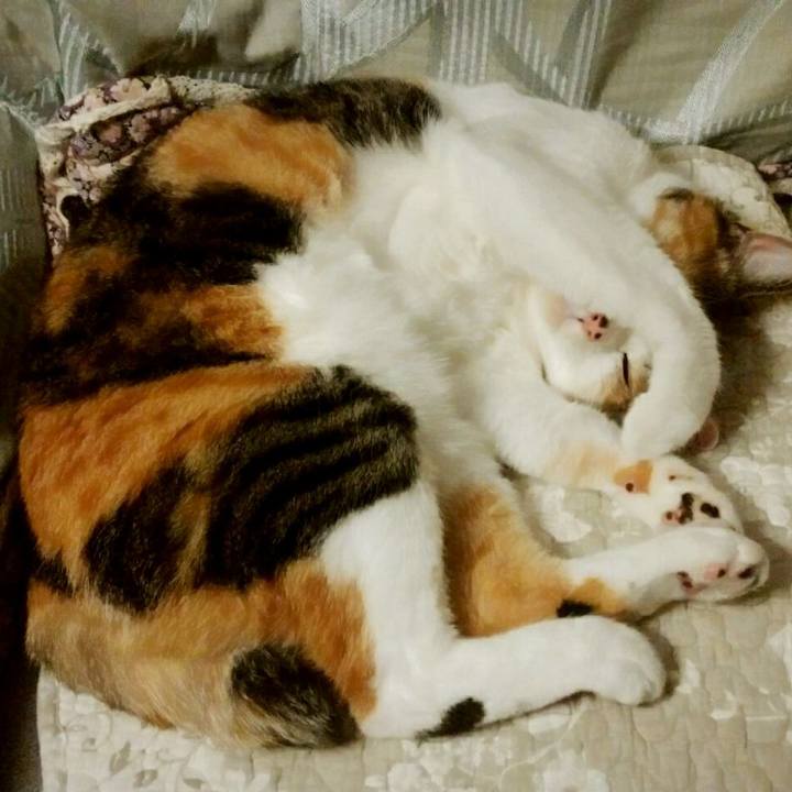 C137b1de cc99 4f1f ad32 d13f9950c2d8 1528282404513