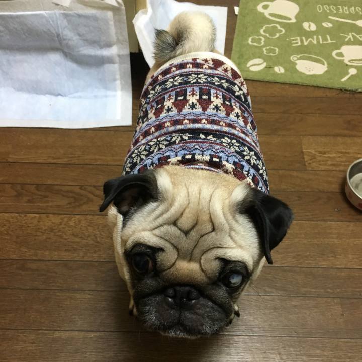 C137bfd8 a7ed 43c3 8b17 38c4271b7057 1513693087783