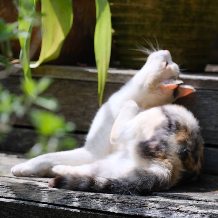 C137e802 379f 4974 a63d f7776c3a099c 1717250789021