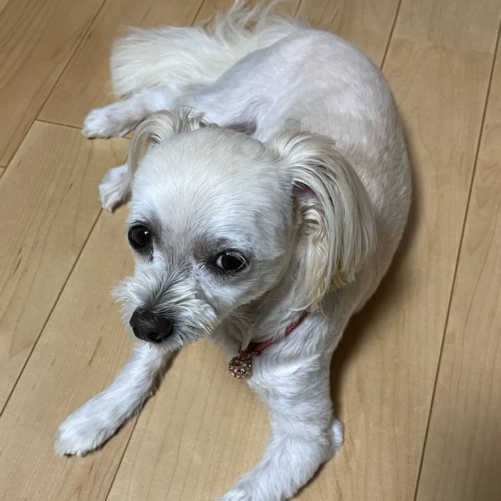 C137f595 c475 4a3b 973a 73791fed98e4 1693906340525