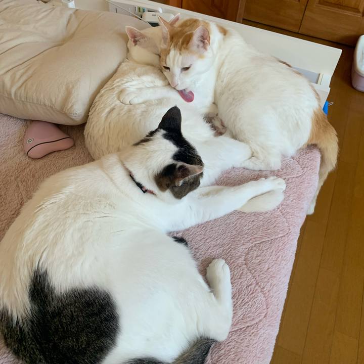 C1380128 1a8c 45e7 8035 971f36e5b587 1641089929173