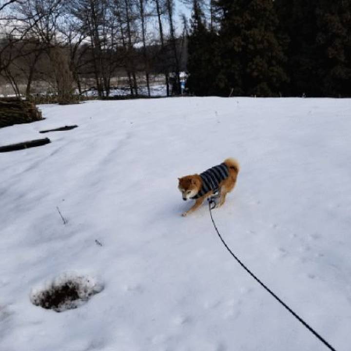 C13806aa 78b4 41cd aaca ea4e6b3e4179 1579081128357