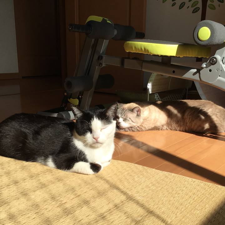 C1381485 c467 41e1 8e19 21783e649080 1548979291829