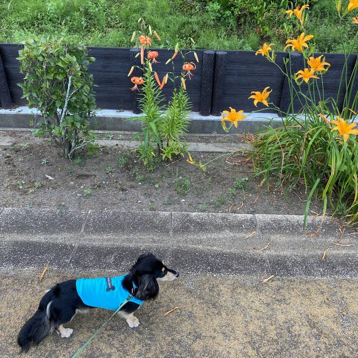 C1382abc e0d5 4a8a 8581 5e52695d9826 1689464636408