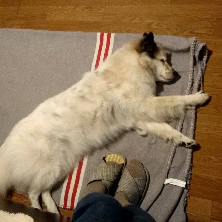 C13880d2 7ada 4077 8f9d dc4137f12061 1581599335626